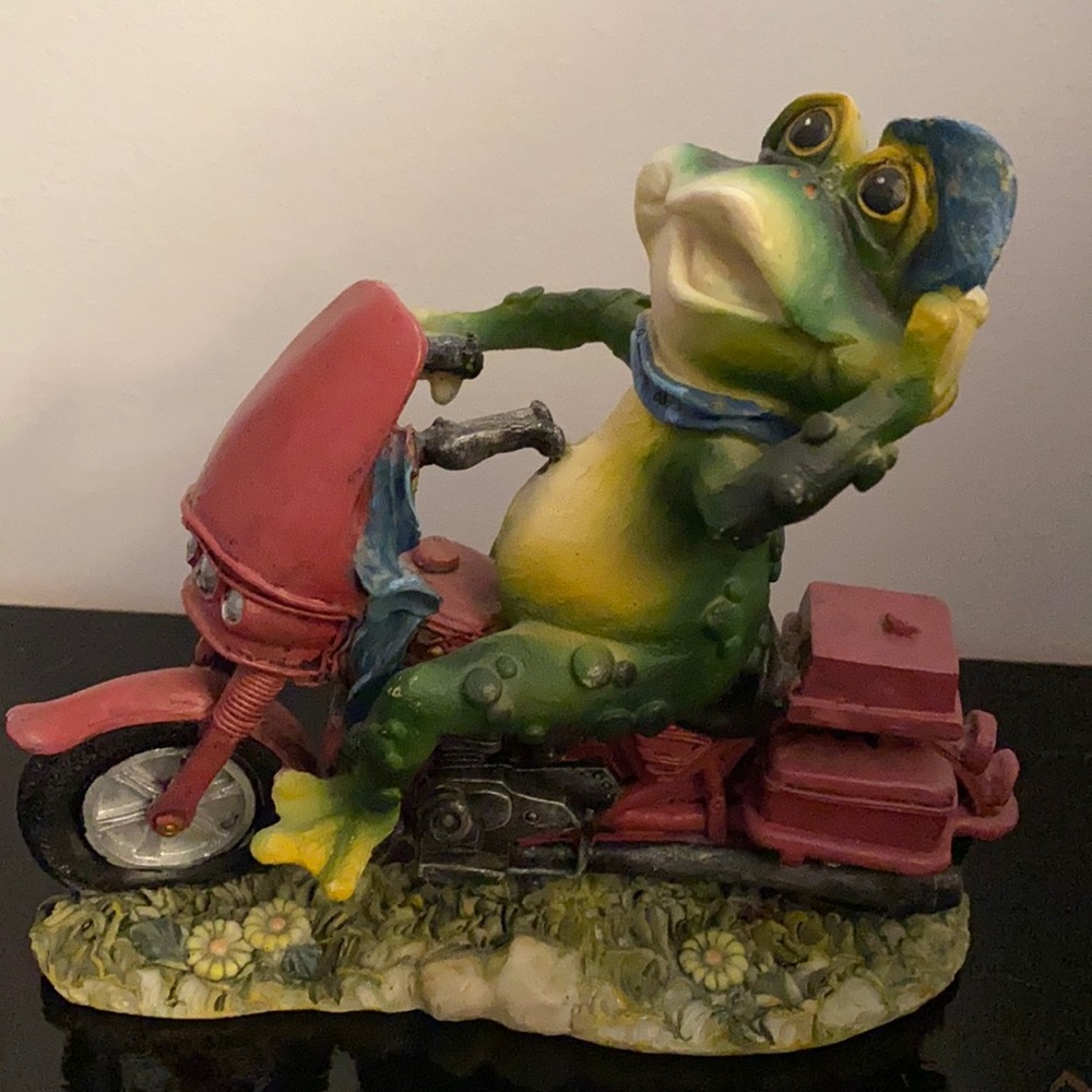 Frog on a bike